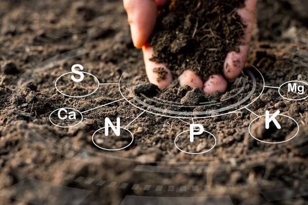 Giữ độ ẩm đất hiệu quả bằng cách cải thiện cấu trúc đất 