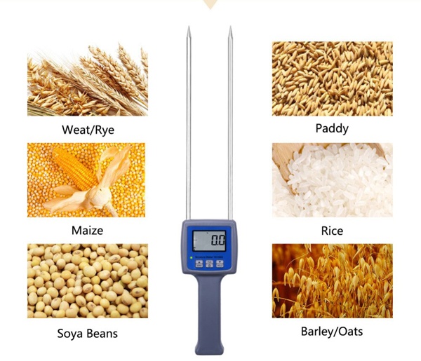 Sử dụng máy đo độ ẩm để kiểm tra độ ẩm thóc gạo