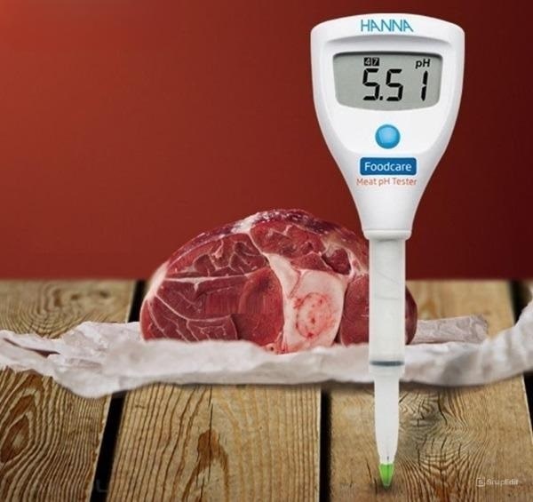 Bút đo pH trong thịt Hanna HI981036