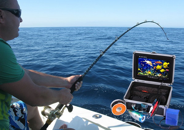 Cách chọn camera câu cá dưới tốt, chất lượng