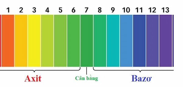 Cách cân bằng độ pH cho hồ cá đơn giản