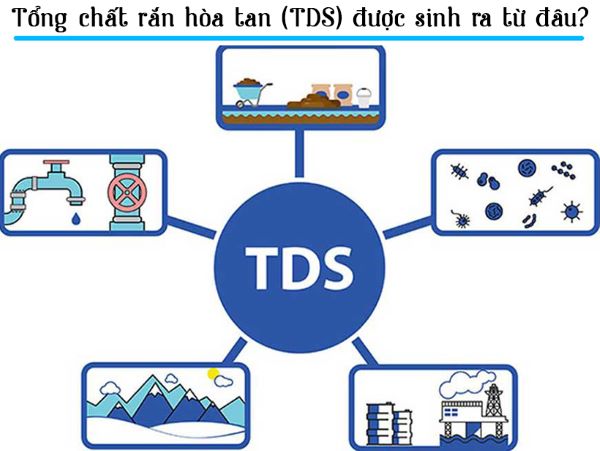 TDS được sinh ra từ các chất hữu cơ, đá vôi, dòng chảy từ nông nghiệp