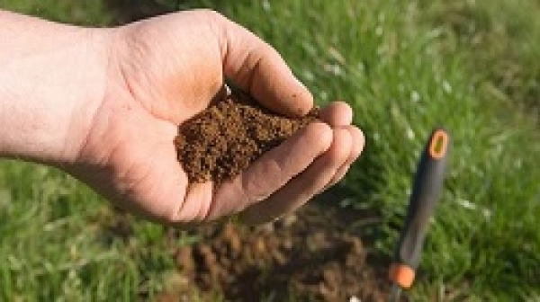 Độ ẩm của đất là gì? Công thức tính và cách xác định độ ẩm của đất