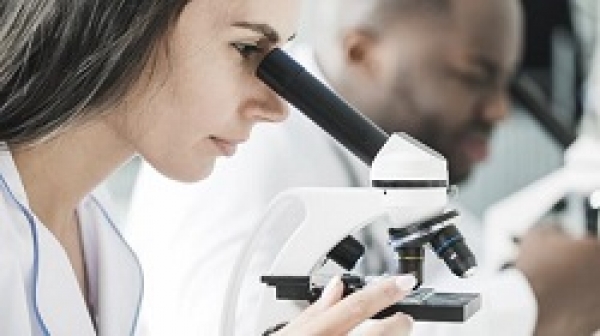 Soi kính hiển vi có hại mắt không? Các biện pháp chống mỏi mắt