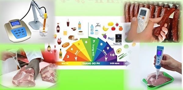 Top 5 máy đo pH trong thực phẩm chất lượng, nên đầu tư 