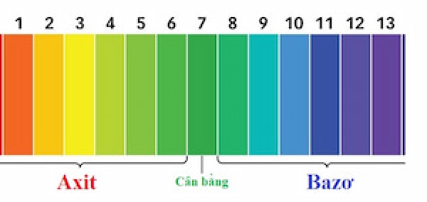 Hướng dẫn đo pH hồ cá và giữ độ pH ổn định lâu dài