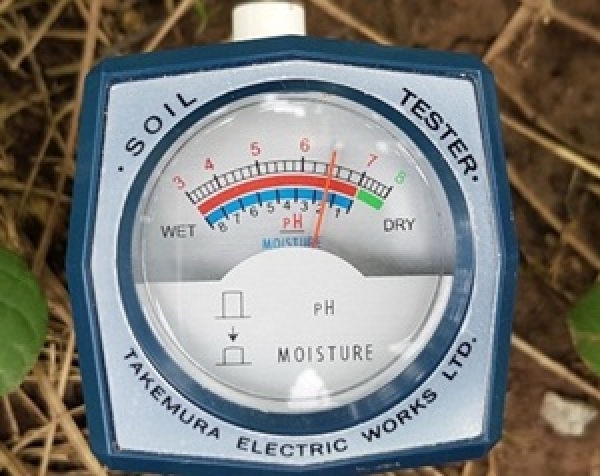 Máy đo pH của Nhật nào tốt, bán chạy hiện nay?