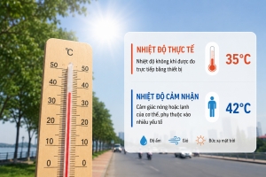 Nhiệt độ cảm nhận là gì? Khác gì với nhiệt độ thực tế?